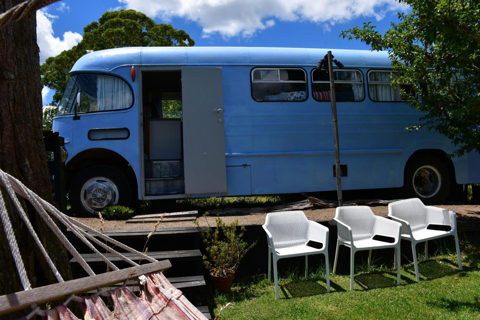 Evi The School Bus At Oromahoe Downs Farm Puketona Buitenkant foto